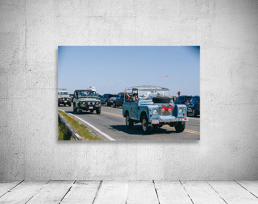 SF1A1074 Wall Preview