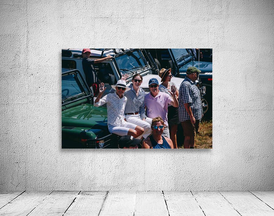 SF1A1294 Wall Preview