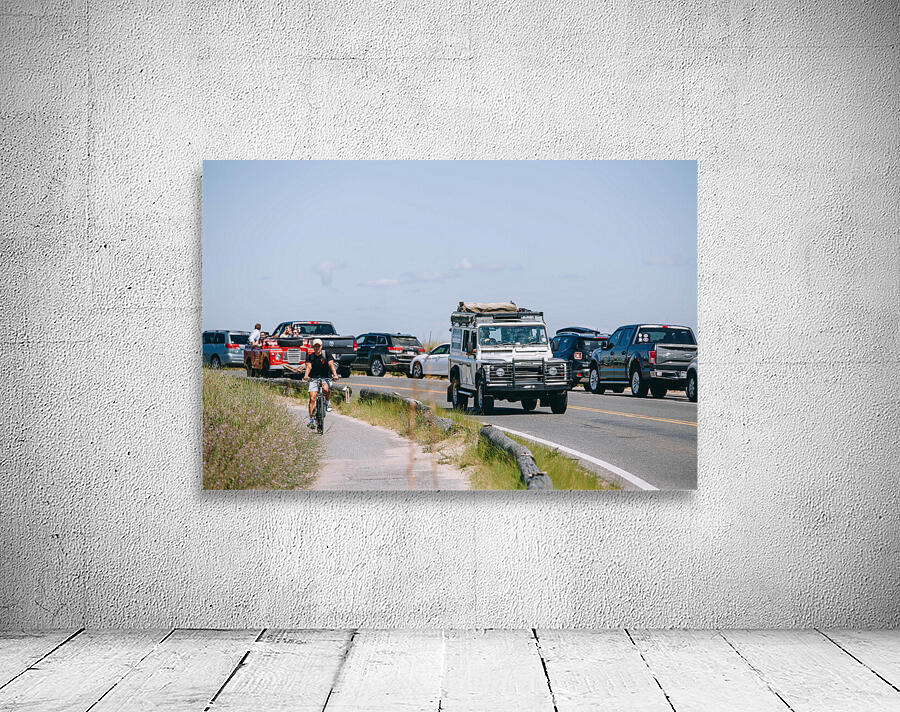 SF1A1151 Wall Preview
