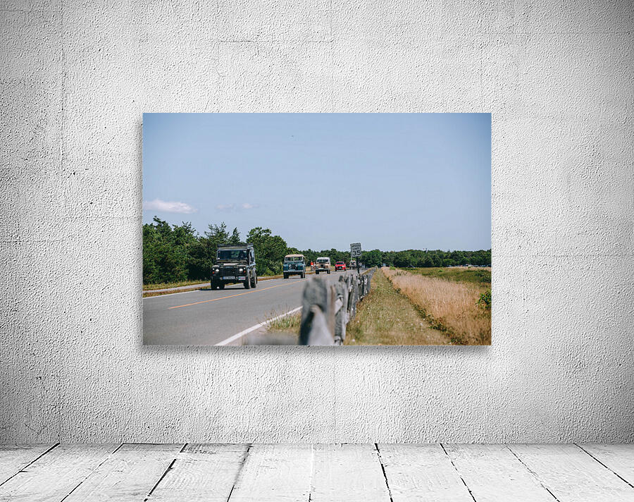SF1A1219 Wall Preview