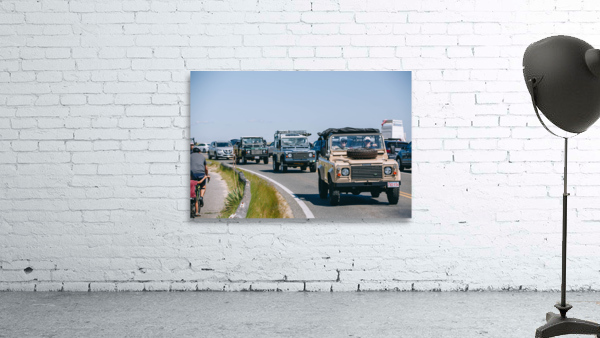 SF1A1147 Wall Preview