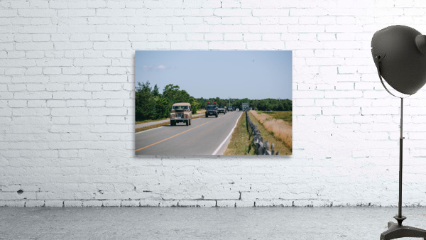 SF1A1229 Wall Preview