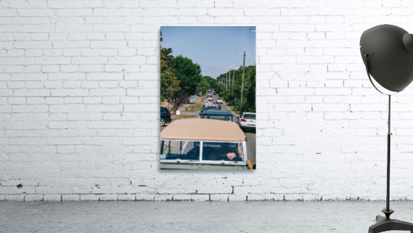SF1A1189 Wall Preview