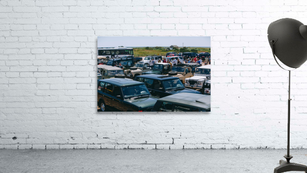 SF1A1319 Wall Preview