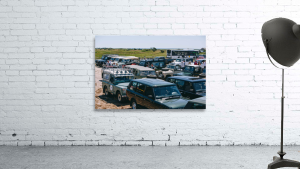 SF1A1321 Wall Preview