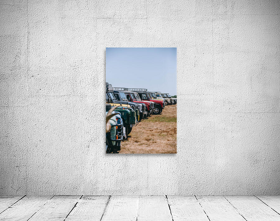 SF1A1312 Wall Preview