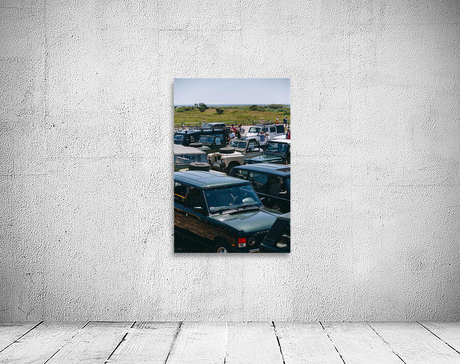 SF1A1313 Wall Preview
