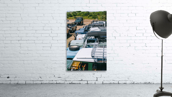SF1A1317 Wall Preview