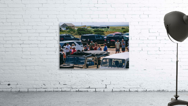 SF1A1327 Wall Preview