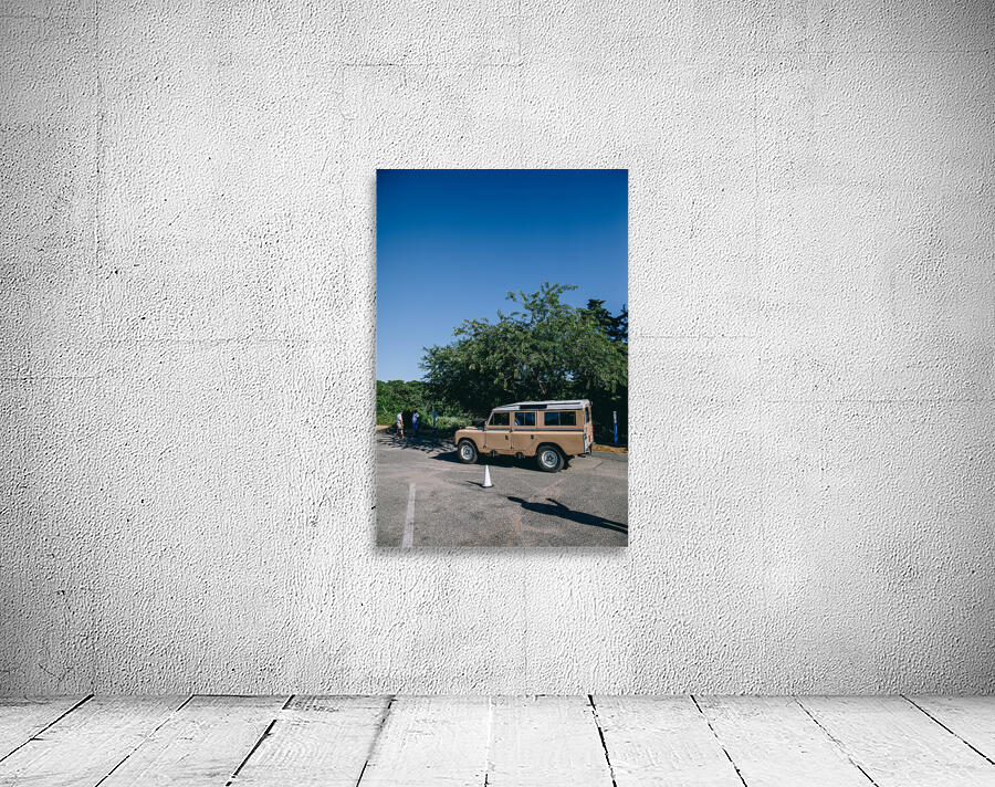 4J3A2892 Wall Preview