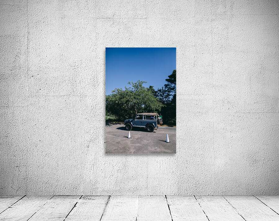 4J3A2929 Wall Preview