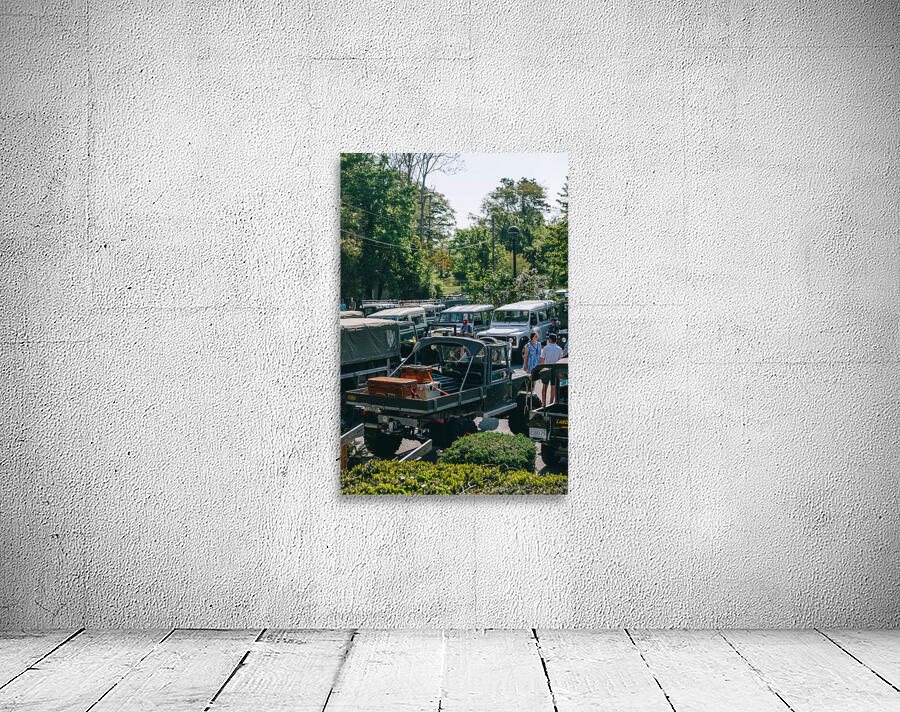SF1A9125 Wall Preview