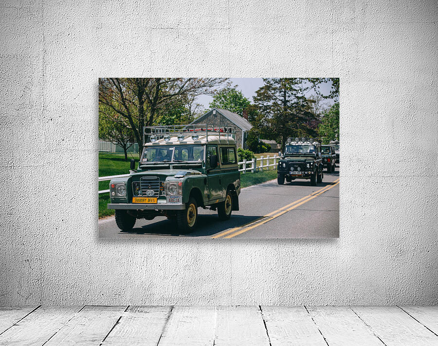 SF1A9519 Wall Preview