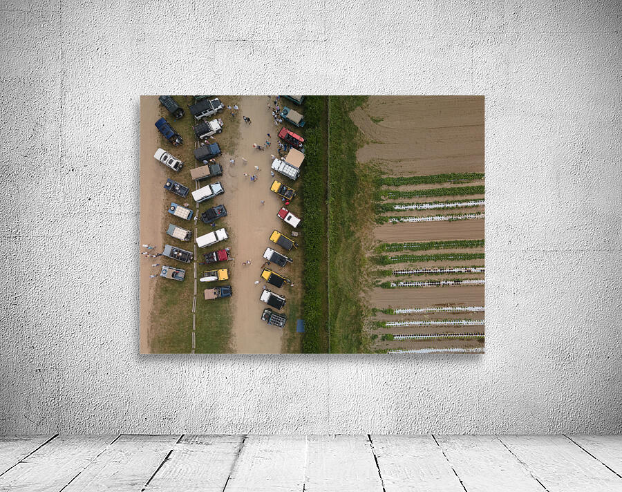 1 10 Wall Preview