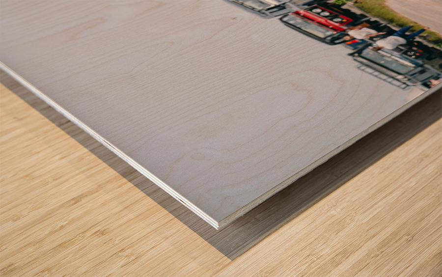 SF1A6812 Wood print
