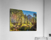 Half Dome View Acrylic Print