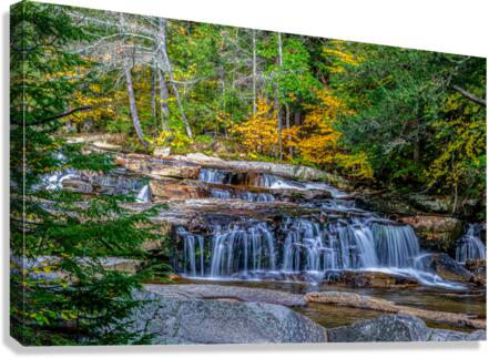 waterfalls in forest Canvas Print