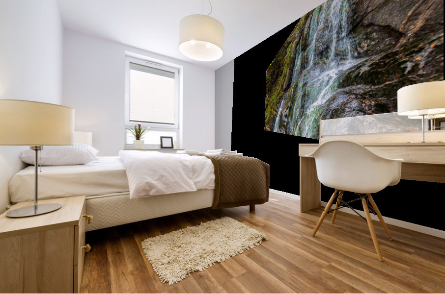 Moss Glen Falls Mural print
