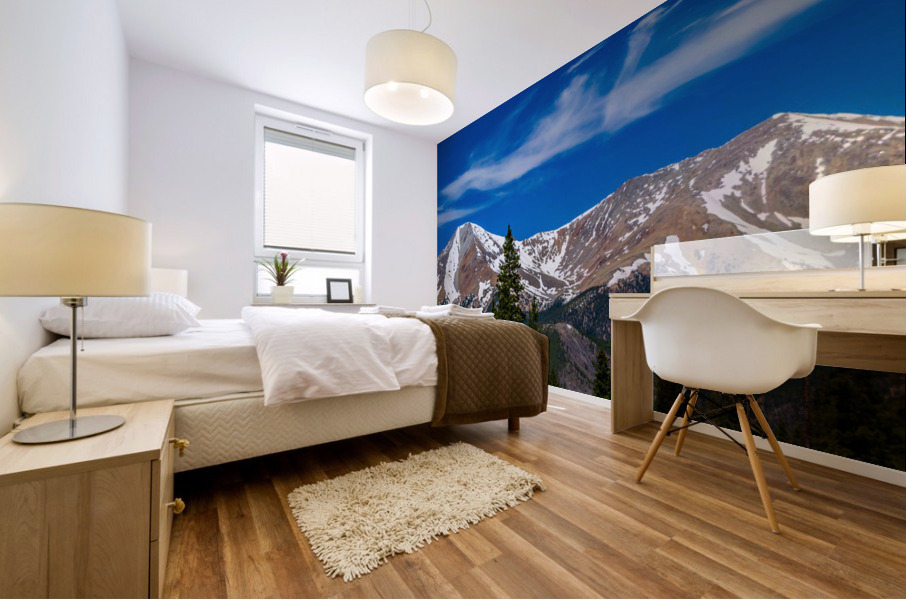 The Continental Divide Mural print