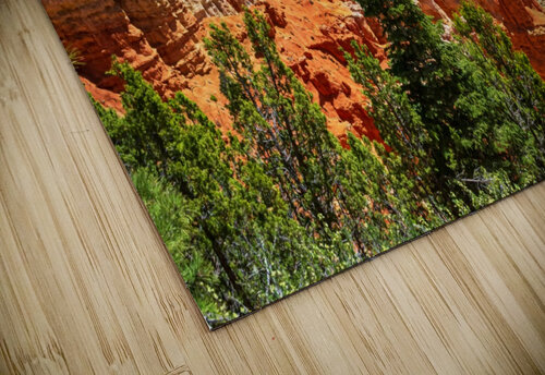 Bryce Canyon View David C  Hintz puzzle