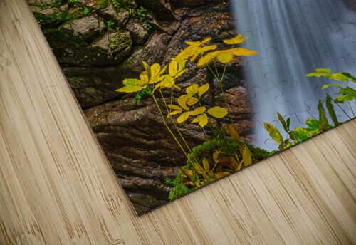 Sabbaday Falls David C  Hintz puzzle