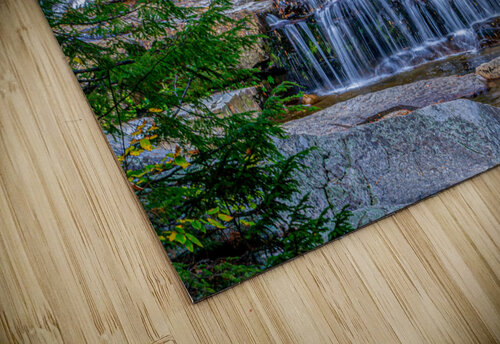waterfalls in forest David C  Hintz puzzle