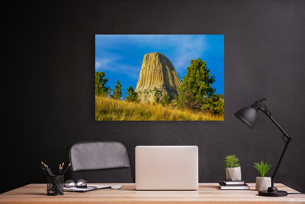Devils Tower National Monument Reproduction