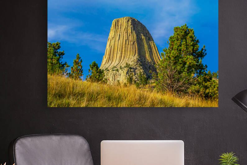 Devils Tower National Monument by David C  Hintz