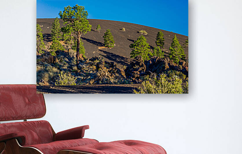 Sunset Crater At Sunset by David C  Hintz