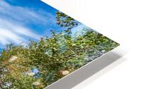 Yosemite Valley View HD Metal print