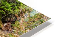 Moss Glen Falls HD Metal print