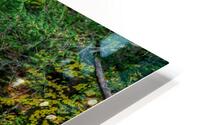 waterfalls in forest HD Metal print