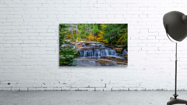 waterfalls in forest Wall Preview