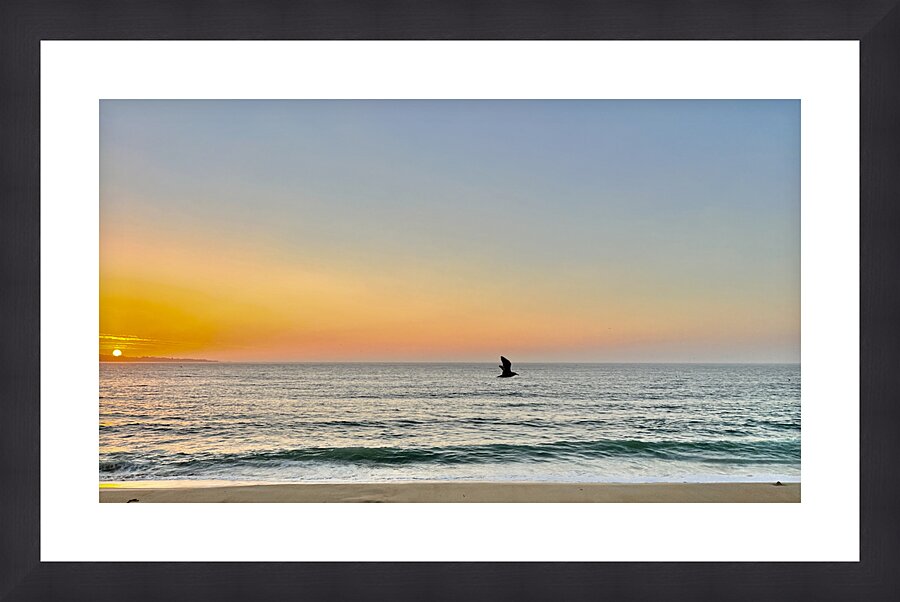 Seaside Flight Picture Frame print