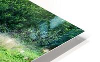 Through the trees HD Metal print