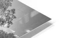 Hallow Full B&W HD Metal print