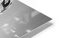 Hallow 4 B&W HD Metal print