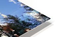 In the Distance HD Metal print