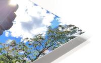 Heartwood HD Metal print