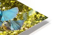 Ginko - Yellow HD Metal print