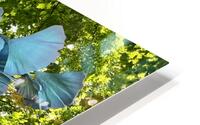 Ginko HD Metal print