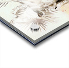 Galapagos Tortoise Acrylic print