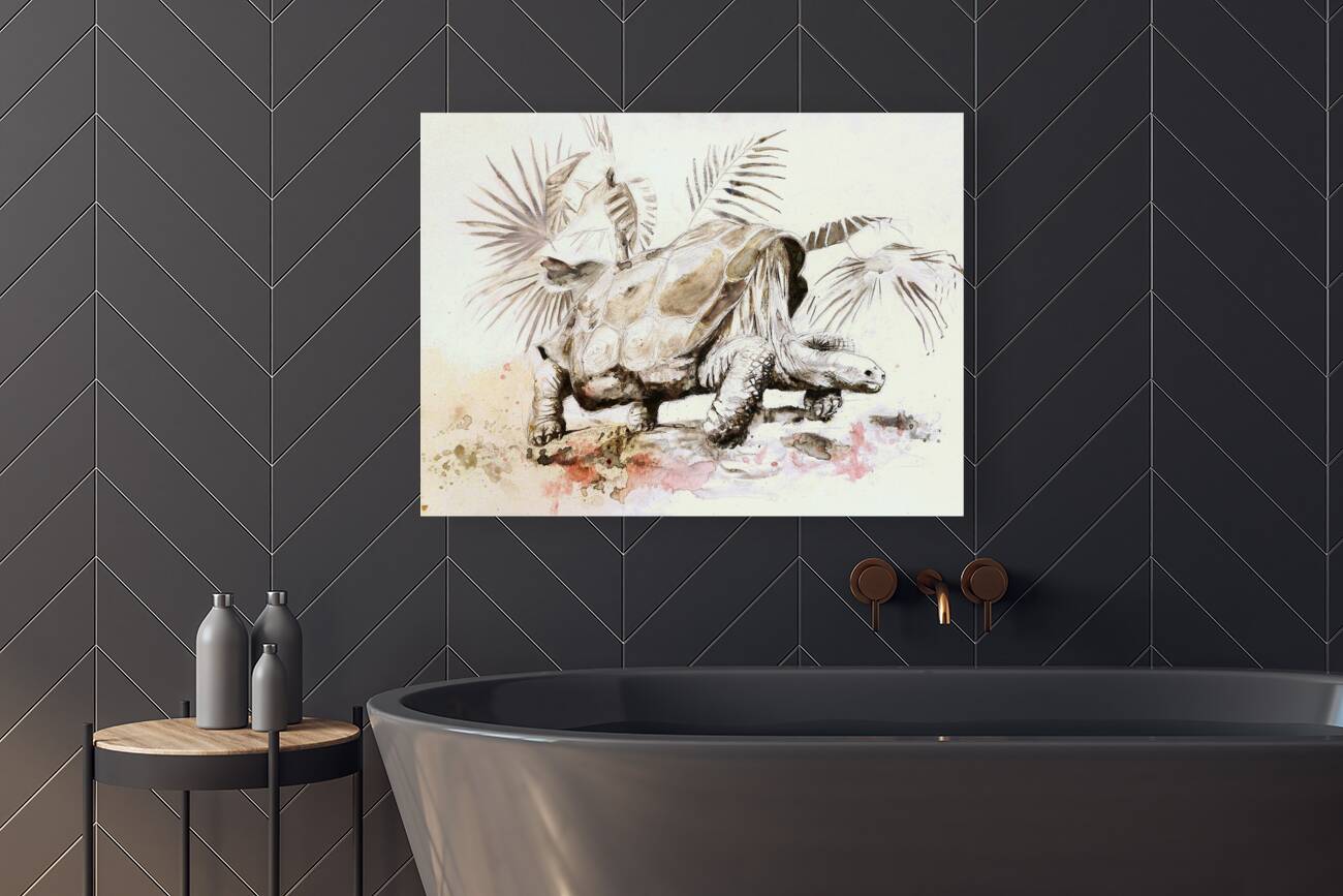 Galapagos Tortoise Reproduction