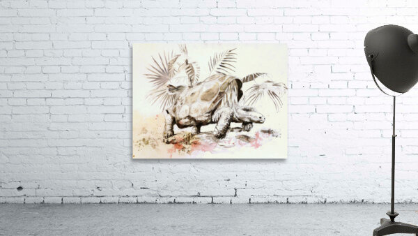 Galapagos Tortoise Wall Preview