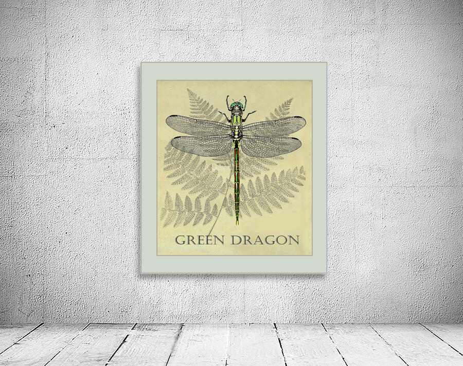 Green Dragonfly  Wall Preview
