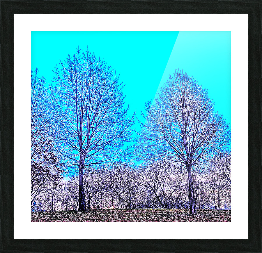  Fine Art print