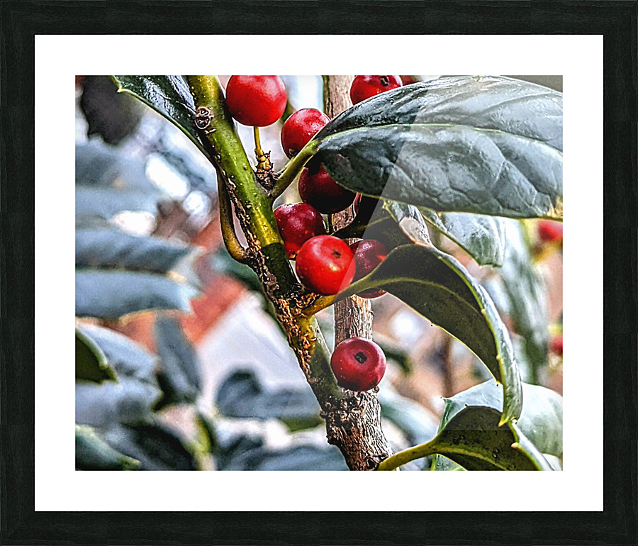  Fine Art print