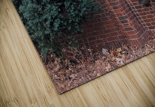 Espalier Joe Gucciardi puzzle