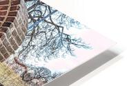 Espalier HD Metal print