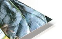 Wild Fresh HD Metal print